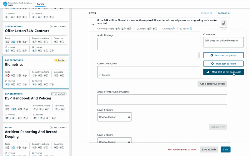 CASTR audit workflow